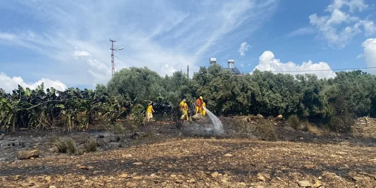 Okula yakın bölgede çıkan yangın paniğe neden oldu