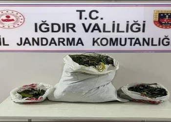 Farklı adreslere uyuşturucu operasyonu