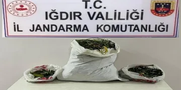Farklı adreslere uyuşturucu operasyonu