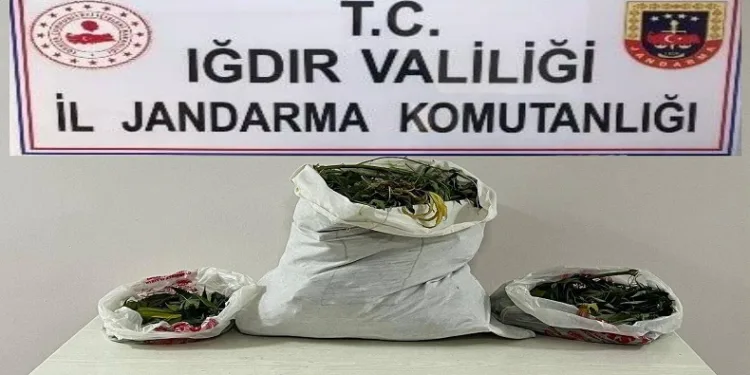 Farklı adreslere uyuşturucu operasyonu