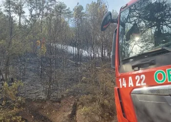 Orman yangını kontrol altına alındı