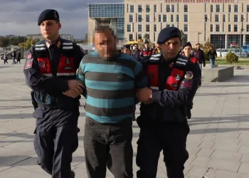 Para için komşusunun başını ezen sanığın yargılanmasına devam edildi