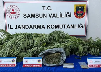 Jandarma ekiplerince uyuşturucu madde ele geçirildi