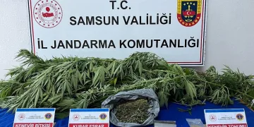 Jandarma ekiplerince uyuşturucu madde ele geçirildi