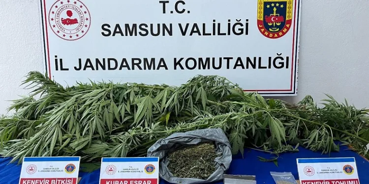 Jandarma ekiplerince uyuşturucu madde ele geçirildi