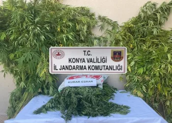 Jandarmadan uyuşturucu operasyonu: 2 gözaltı