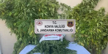 Jandarmadan uyuşturucu operasyonu: 2 gözaltı