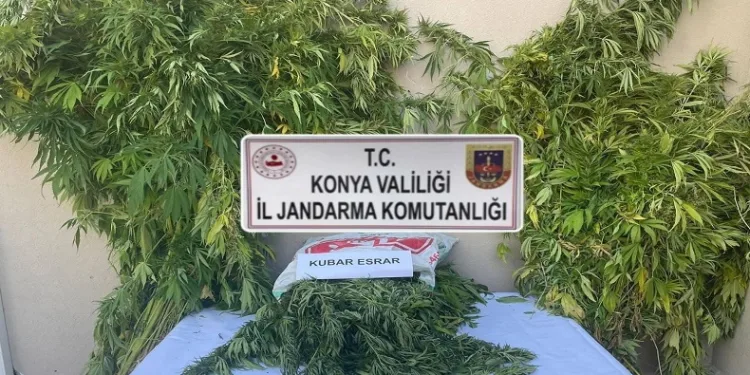 Jandarmadan uyuşturucu operasyonu: 2 gözaltı