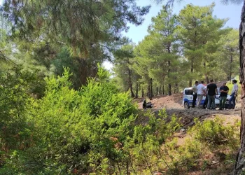Ormana bırakılan bebekle ilgili tutuklama