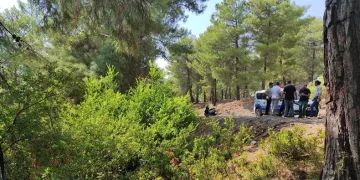 Ormana bırakılan bebekle ilgili tutuklama