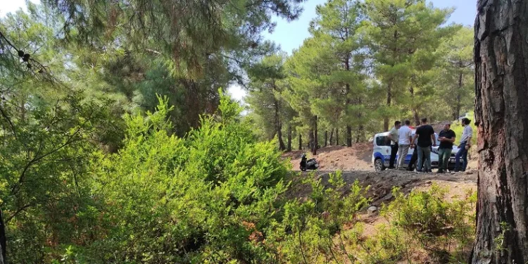 Ormana bırakılan bebekle ilgili tutuklama