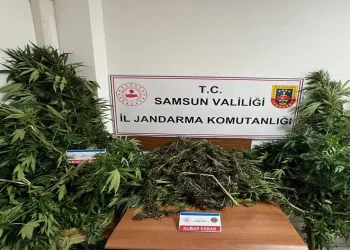 Jandarma 7 kilo kubar esrar ele geçirdi