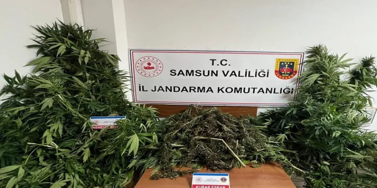Jandarma 7 kilo kubar esrar ele geçirdi