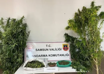 Jandarmadan uyuşturucu operasyonu
