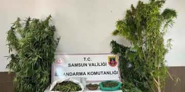 Jandarmadan uyuşturucu operasyonu