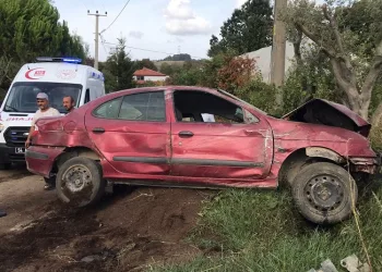 Yoldan çıkan otomobil fidanlığa uçtu