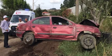 Yoldan çıkan otomobil fidanlığa uçtu