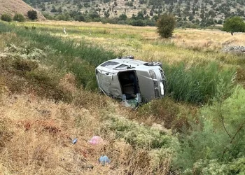 Hafif ticari araç takla attı