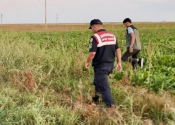 Kaçak avcılar jandarmanın ağına takıldı
