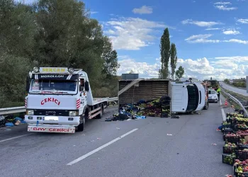 Kamyonet devrildi, elmalar yola saçıldı