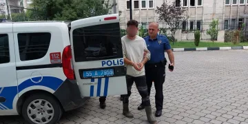 Aynı yerden ikinci kez fındık çalan genç tutuklandı