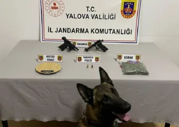 Uyuşturucu operasyonu: 1 gözaltı
