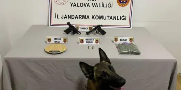 Uyuşturucu operasyonu: 1 gözaltı