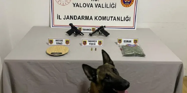 Uyuşturucu operasyonu: 1 gözaltı