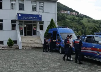 Narkotik operasyonunda bir kişi yakalandı