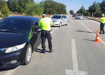 193 araç trafikten men edildi