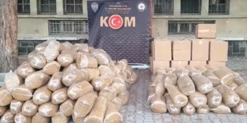 Kamyonetlerden 2 ton kaçak tütün çıktı