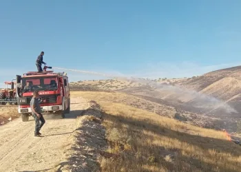 Arguvan’da anız yangını