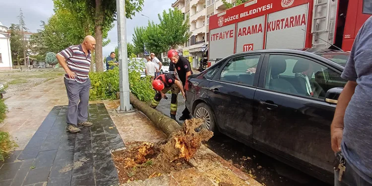 Yeni aldığı aracının üzerine ağaç devrildi