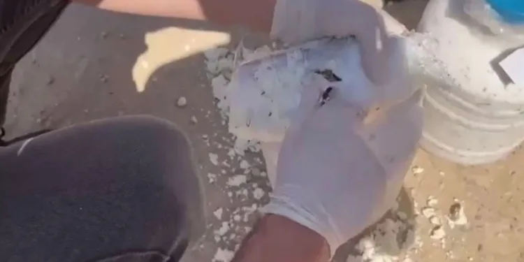 Siirt’te peynir bidonunda uyuşturucu yakalandı