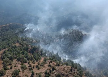 Hatay’daki orman yangını kontrol altına alındı