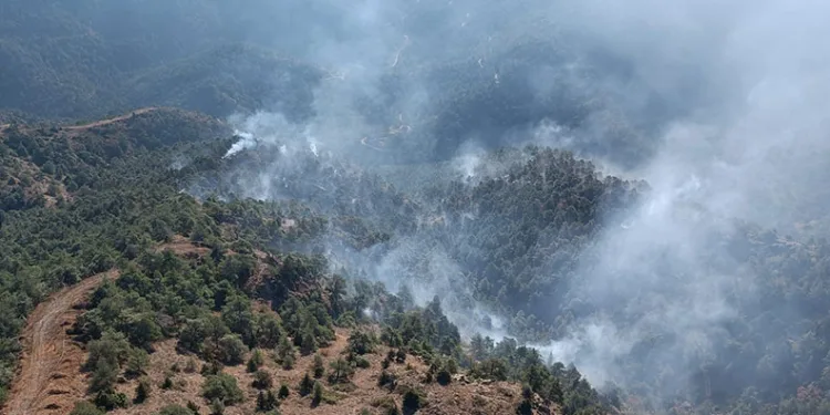 Hatay’daki orman yangını kontrol altına alındı