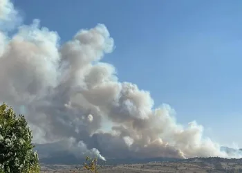 Uşak’taki orman yangınına müdahale sürüyor