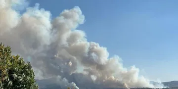 Uşak’taki orman yangınına müdahale sürüyor