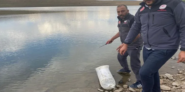 Akarsu ve göletlere 48 bin balık yavrusu bırakıldı