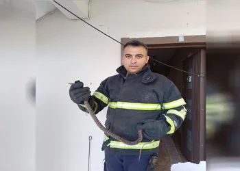 Erzin’de eve giren yılanı itfaiye yakaladı