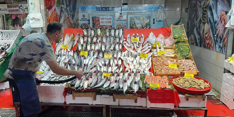Tezgahlarda palamut bolluğu yaşanıyor, fiyatlar yarı yarıya düştü