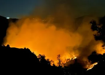Hatay’da orman yangını