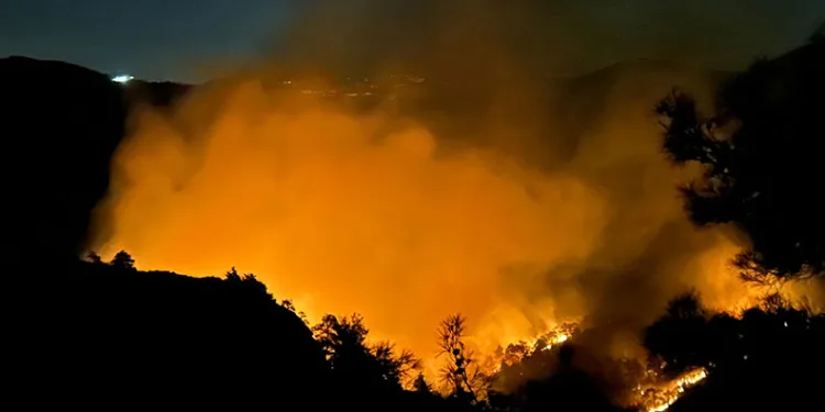 Hatay’da orman yangını