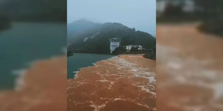 Artvin’de şiddetli yağış sonrası taşan dereler Çoruh nehriyle böyle buluştu