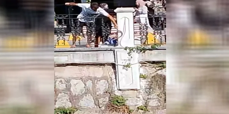 Amatör balıkçının oltasına balık yerine yılan takıldı