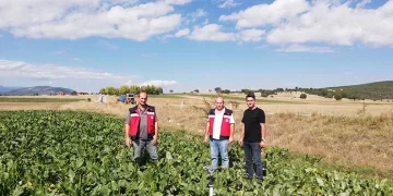 Kütahya’da şekerpancarı ekim sahalarında denetim ve tespit
