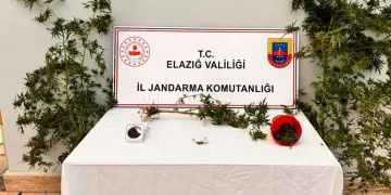 Evinin bahçesine uyuşturucu ekmiş