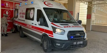 Şanlıurfa’da kamyonet devrildi: 9 yaralı