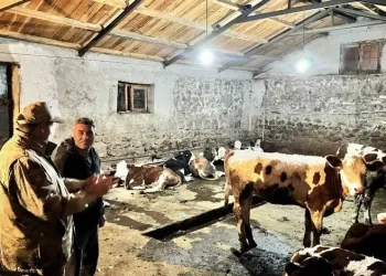 Hayvan hırsızlığına kameralı önlem