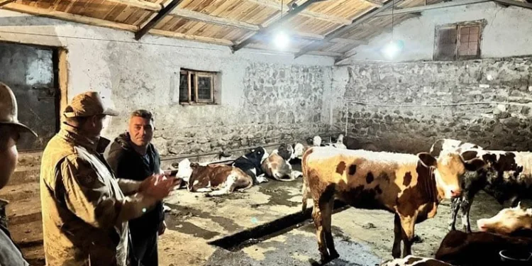 Hayvan hırsızlığına kameralı önlem
